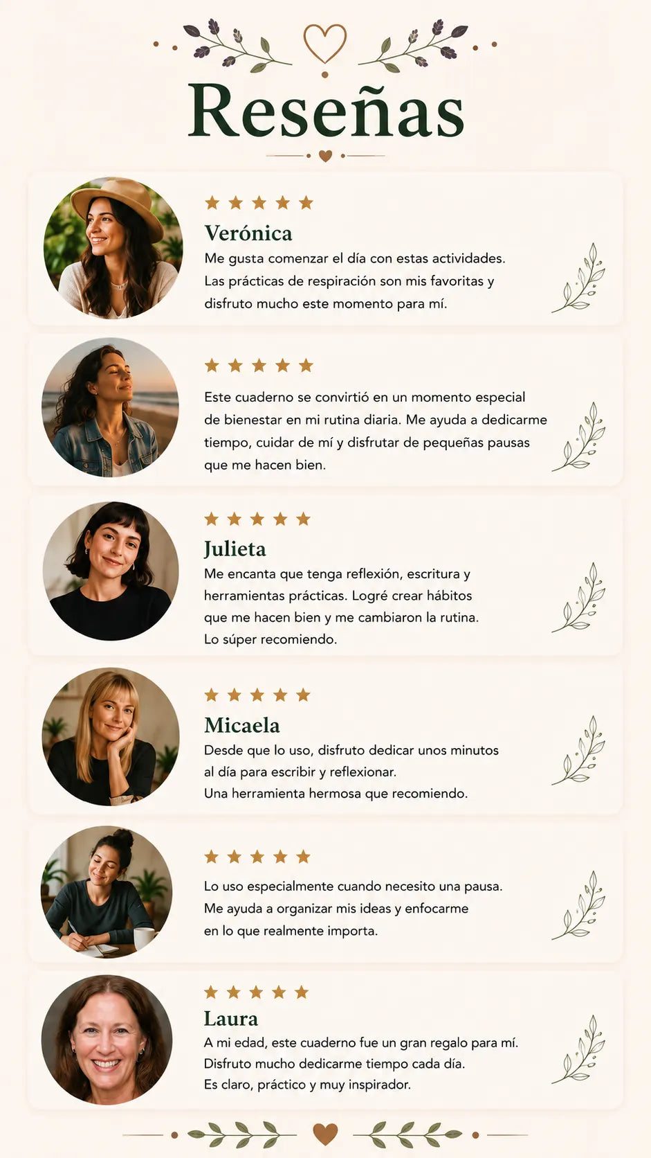 Resumen final de la oferta
